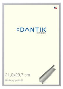 DANTIK rám na obraz 21x29,7 | ALU Stříbrná matná (Sklo Čiré)