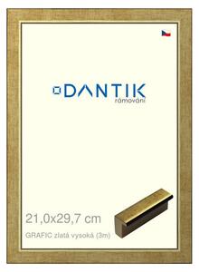 DANTIK rám na obraz 21x29,7 | GRAFIC zlatá vysoká (Sklo Čiré)