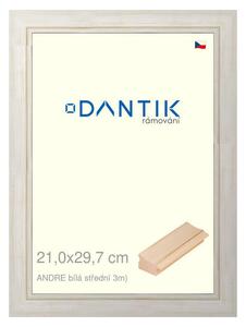 DANTIK rám na obraz 21x29,7 | ANDRE Bílá střední (Sklo Čiré)
