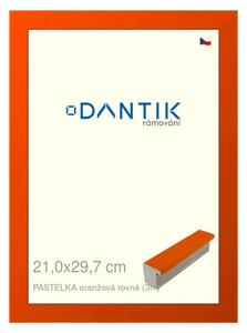 DANTIK rám na obraz 21x29,7 | PASTELKA oranžová rovná (Sklo Čiré)