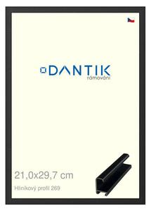 DANTIK rám na obraz 21x29,7 | ALU Černá matná (Sklo Čiré)