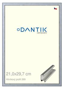 DANTIK rám na obraz 21x29,7 | ALU Sstříbrná broušená (Sklo Čiré)