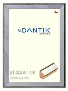 DANTIK rám na obraz 21x29,7 | INCLINATA colori Bílá (Sklo Čiré)