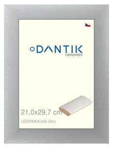 DANTIK rám na obraz 21x29,7 | LEDVINKA bílá (Sklo Čiré)