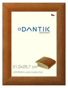 DANTIK rám na obraz 21x29,7 | LEDVINKA světle hnědá (Sklo Čiré)
