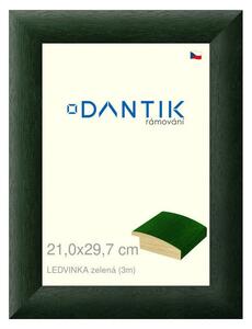 DANTIK rám na obraz 21x29,7 | LEDVINKA zelená (Sklo Čiré)