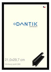 DANTIK rám na obraz 21x29,7 | ALU Černá lesklá (Sklo Čiré)