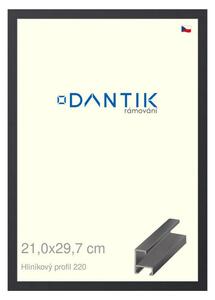 DANTIK rám na obraz 21x29,7 | ALU Černá matná (Sklo Čiré)