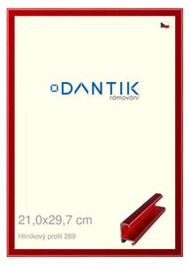 DANTIK rám na obraz 21x29,7 | ALU Červená Trumalin broušená (Sklo Čiré)