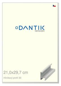 DANTIK rám na obraz 21x29,7 | ALU Bílá matná (Sklo Čiré)