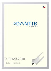 DANTIK rám na obraz 21x29,7 | ALU Bílá matná (Sklo Čiré)
