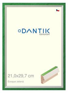 DANTIK rám na obraz 21x29,7 | EVOQUE zelená (Sklo Čiré)