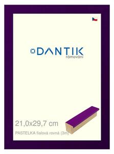 DANTIK rám na obraz 21x29,7 | PASTELKA fialová rovná (Sklo Čiré)
