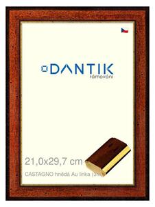 DANTIK rám na obraz 21x29,7 | CASTAGNO hnědá Au linka (Sklo Čiré)