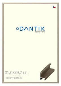DANTIK rám na obraz 21x29,7 | ALU champagne (Sklo Čiré)