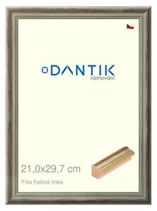 DANTIK rám na obraz 21x29,7 | Y-ka fialová linka (Sklo Čiré)