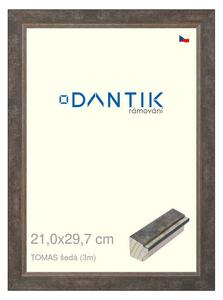 DANTIK rám na obraz 21x29,7 | TOMAS šedá (Sklo Čiré)