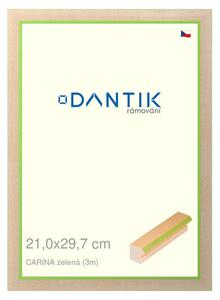 DANTIK rám na obraz 21x29,7 | CARINAzelená (Sklo Čiré)