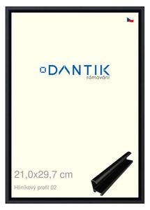 DANTIK rám na obraz 21x29,7 | ALU Černá matná (Sklo Čiré)