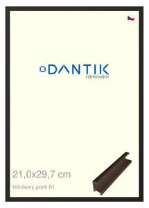 DANTIK rám na obraz 21x29,7 | ALU Hnědá matná (Sklo Čiré)