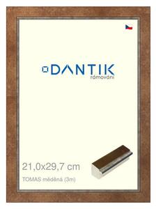 DANTIK rám na obraz 21x29,7 | TOMAS měděná (Sklo Čiré)