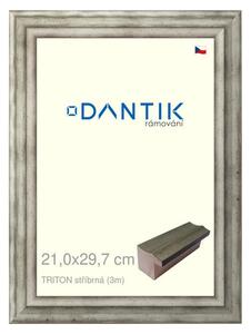DANTIK rám na obraz 21x29,7 | TRITON stříbrná (Sklo Čiré)