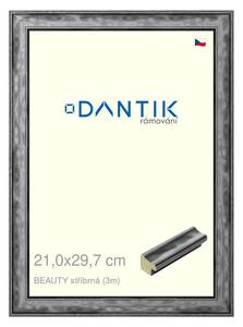 DANTIK rám na obraz 21x29,7 | BEAUTY stříbrná (Sklo Čiré)