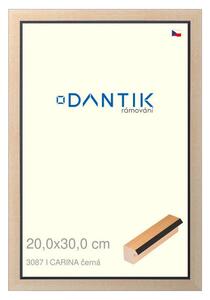 DANTIK rám na obraz 20x30 | CARINA černá (Sklo Čiré)