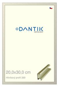 DANTIK rám na obraz 20x30 | ALU zlatá matná (Sklo Čiré)