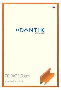 DANTIK rám na obraz 20x30 | ALU Dýha barevná oranžová (Sklo Čiré)