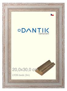 DANTIK rám na obraz 20x30 | LYON šedá (Sklo Čiré)