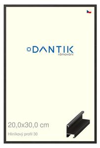 DANTIK rám na obraz 20x30 | ALU Dýha černá (Sklo Čiré)