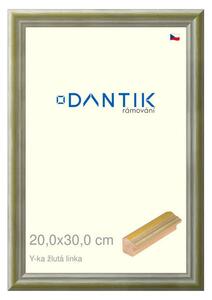 DANTIK rám na obraz 20x30 | Y-ka žlutá linka (Sklo Čiré)