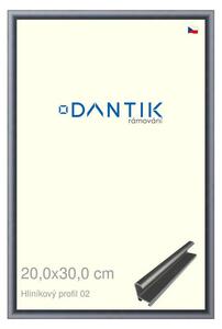DANTIK rám na obraz 20x30 | ALU Platina matná (Sklo Čiré)