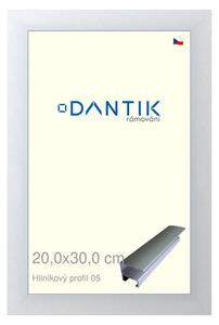 DANTIK rám na obraz 20x30 | ALU Stříbrná matná (Sklo Čiré)