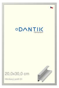 DANTIK rám na obraz 20x30 | ALU Stříbrná matná (Sklo Čiré)