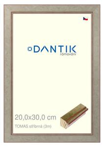 DANTIK rám na obraz 20x30 | TOMAS stříbrná (Sklo Čiré)