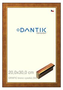 DANTIK rám na obraz 20x30 | GRAFIC bronz vysoká (Sklo Čiré)