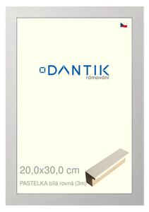 DANTIK rám na obraz 20x30 | PASTELKA bílá rovná (Sklo Čiré)