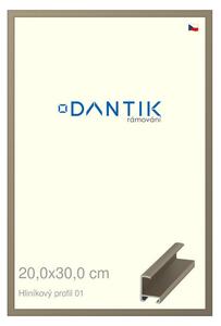 DANTIK rám na obraz 20x30 | ALU champagne (Sklo Čiré)
