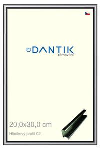 DANTIK rám na obraz 20x30 | ALU Šedá leská (Sklo Čiré)