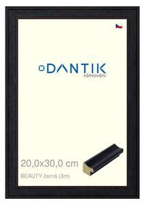 DANTIK rám na obraz 20x30 | BEAUTY černá (Sklo Čiré)