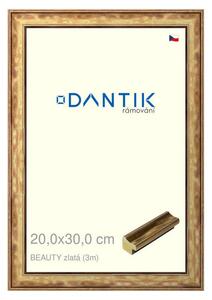 DANTIK rám na obraz 20x30 | BEAUTY zlatá (Sklo Čiré)