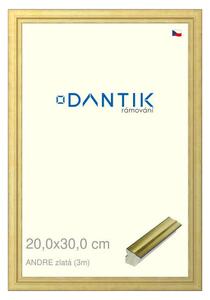 DANTIK rám na obraz 20x30 | ANDRE zlatá (Sklo Čiré)