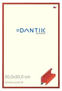 DANTIK rám na obraz 20x30 | ALU Dýha barevná červená třešeň (Sklo Čiré)