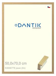 DANTIK rám na obraz 50x70 | KASSETTE jasan (Plexi Čiré)