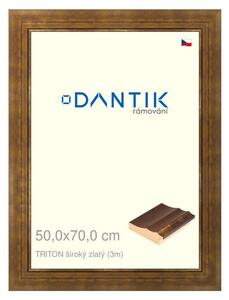 DANTIK rám na obraz 50x70 | TRITON široký zlatý (Plexi Čiré)