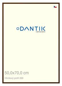 DANTIK rám na obraz 50x70 | ALU Hnědá umbra broušená (Plexi Čiré)