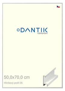 DANTIK rám na obraz 50x70 | ALU Dýha bílá (Plexi Čiré)