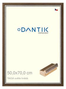 DANTIK rám na obraz 50x70 | TAIGA sv.hnědá (Plexi Čiré)